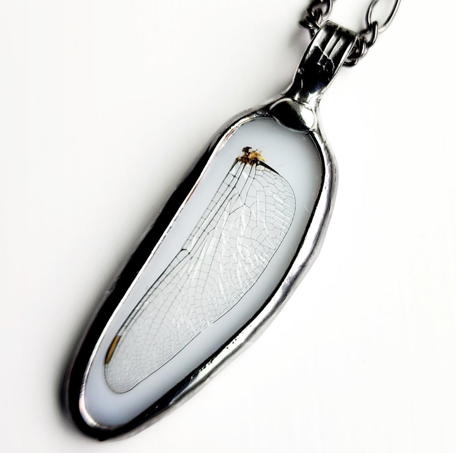 Real Dragonfly Wing Stained Glass Jewelry